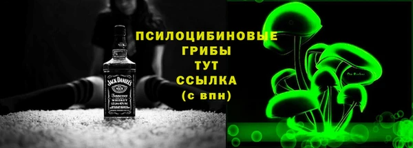 дживик Корсаков