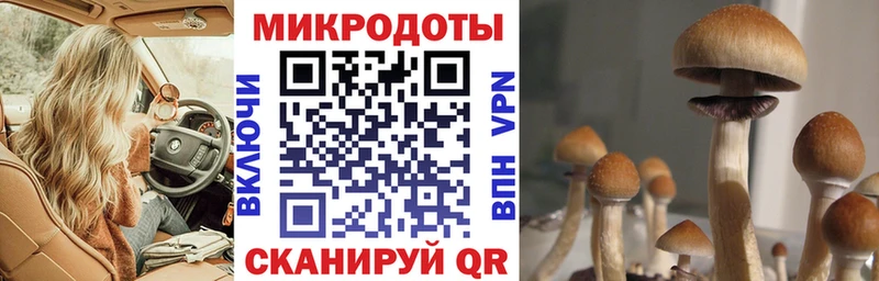 Купить закладки  Далматово  Галлюциногенные грибы ЛСД 